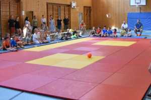 Judosoafari 2025